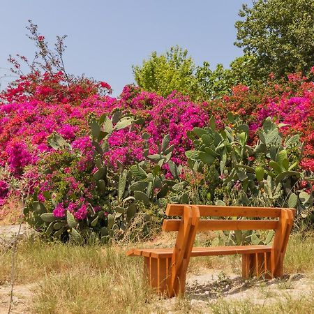 Tal Shahar Zimmers Εξωτερικό φωτογραφία