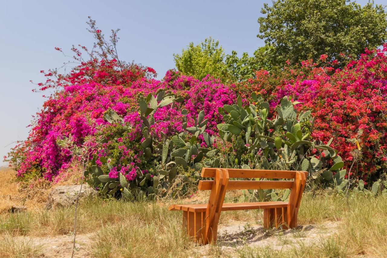 Tal Shahar Zimmers Εξωτερικό φωτογραφία